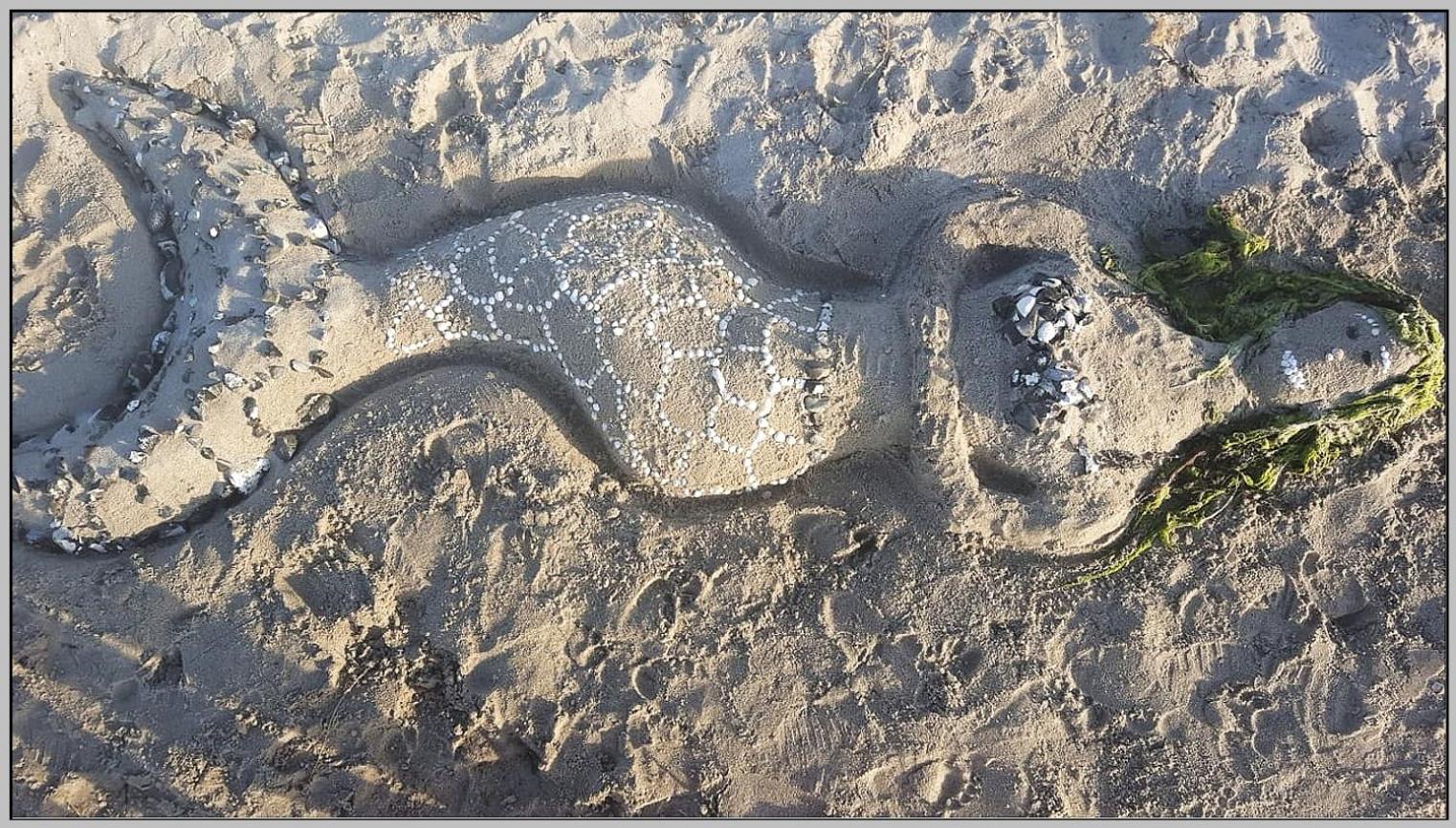 Familienwohnzelt Zelt Und Sand Direkt Am Strand Dranske Exterior photo